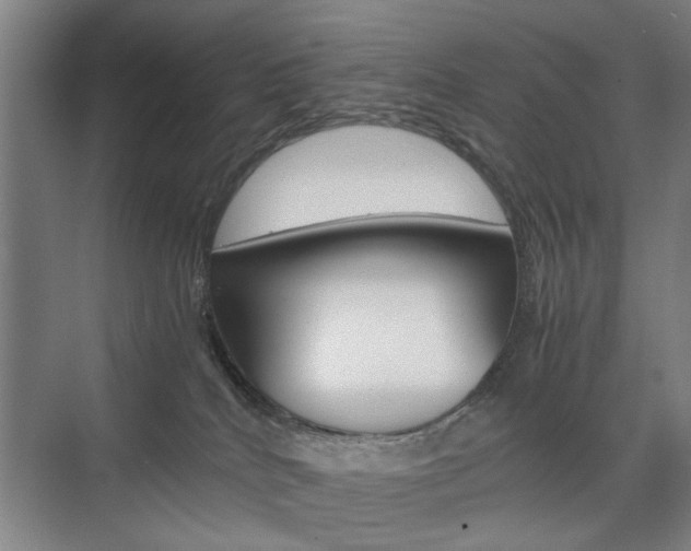 X0000074970040200609011028