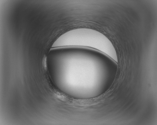 X0000074970041200609011028