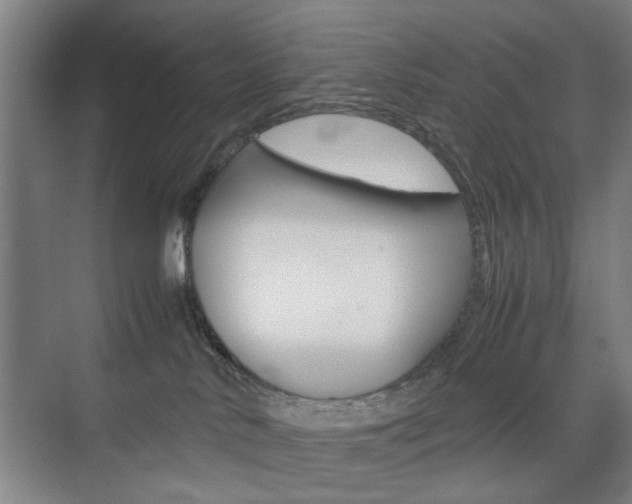 X0000074970042200609011028