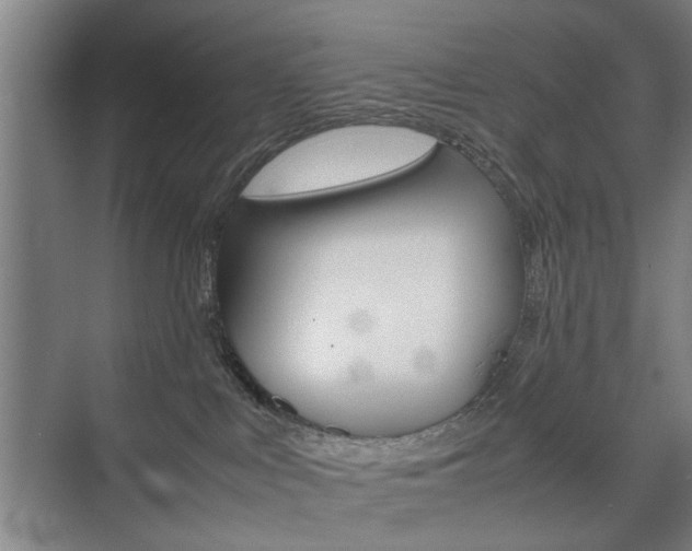 X0000074970043200609011028