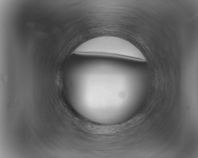 X0000074970044200609011028