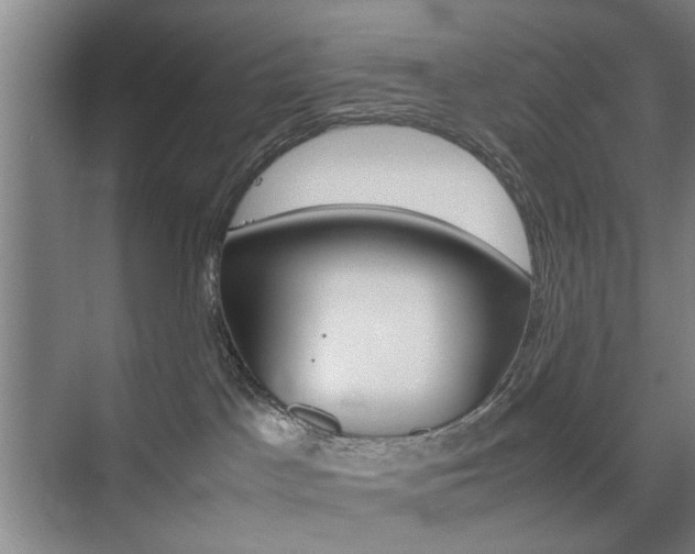 X0000074970045200609011028