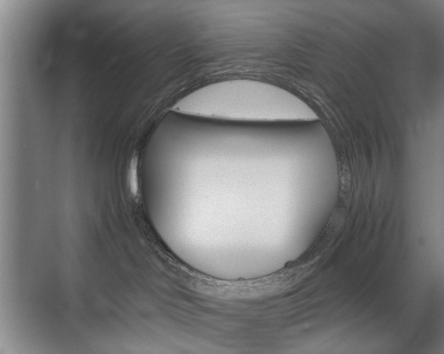 X0000074970046200609011028