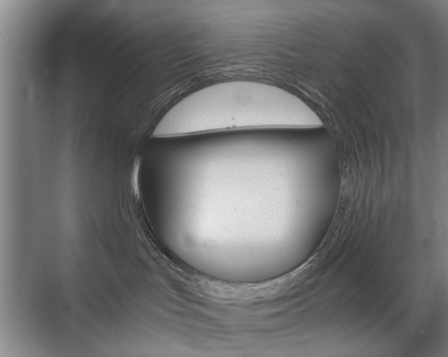 X0000074970047200609011027