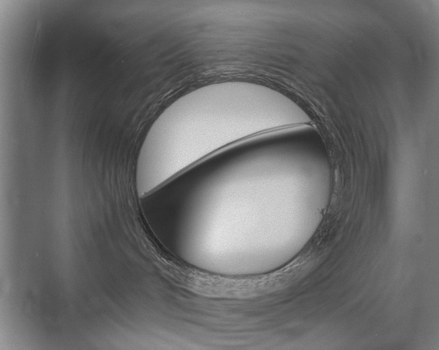 X0000074970048200609011027