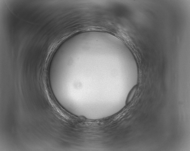 X0000074970049200609011027