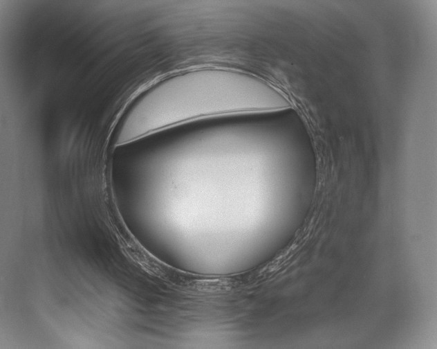 X0000074970050200609011027