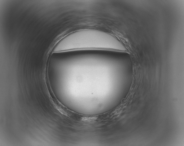 X0000074970051200609011027