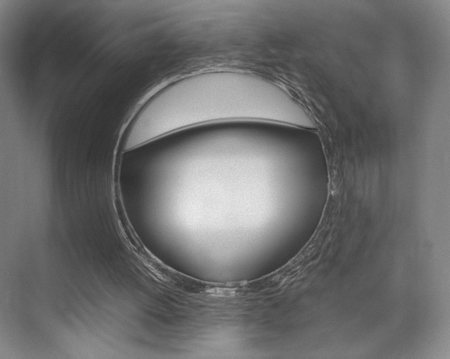 X0000074970052200609011027