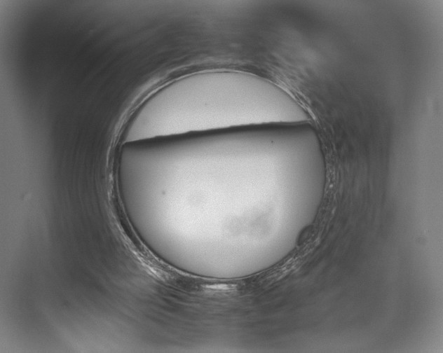 X0000074970053200609011027