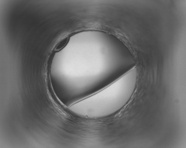 X0000074970054200609011027