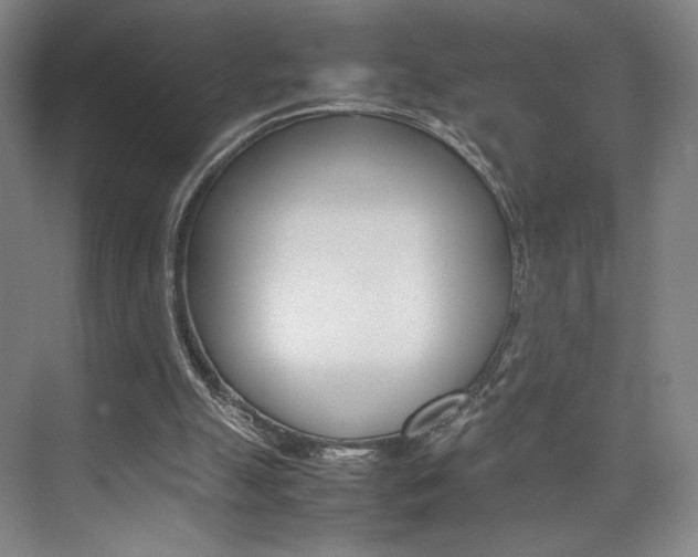 X0000074970055200609011027