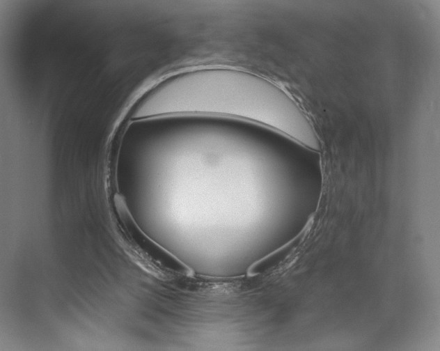 X0000074970056200609011027