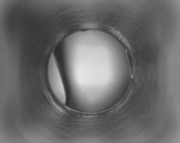 X0000074970057200609011027