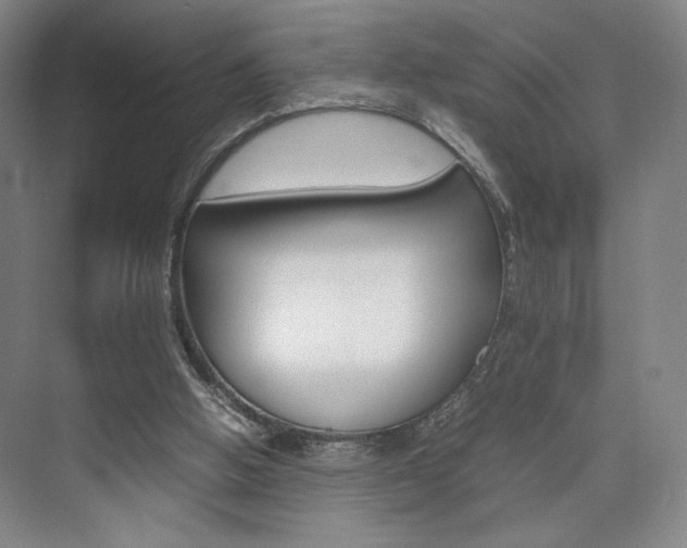 X0000074970058200609011027