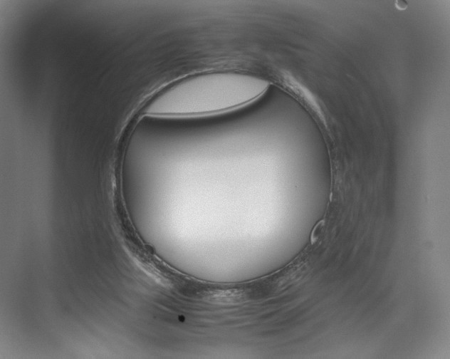 X0000074970059200609011027