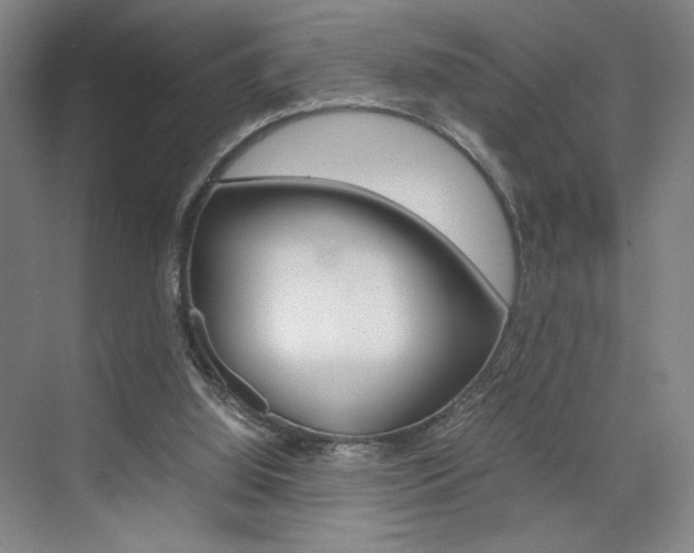 X0000074970060200609011027