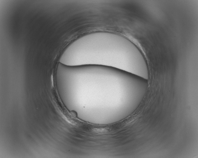 X0000074970061200609011027