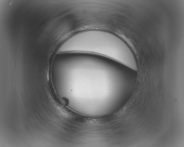 X0000074970062200609011027