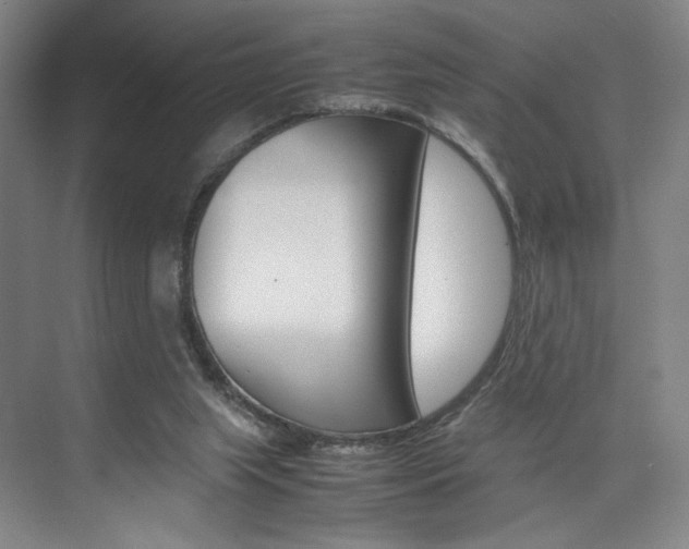 X0000074970063200609011027