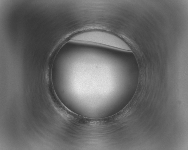 X0000074970064200609011027