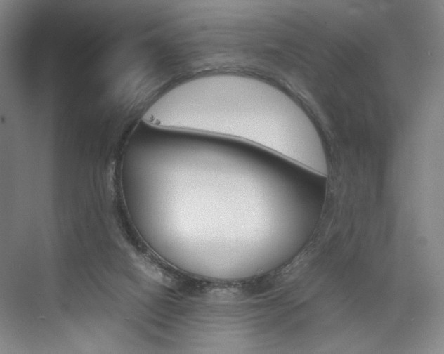 X0000074970066200609011027