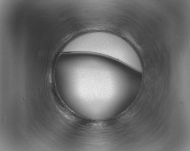 X0000074970068200609011027