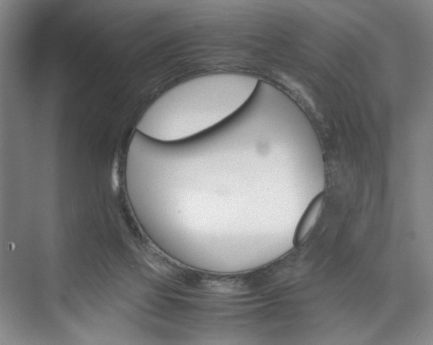 X0000074970069200609011027