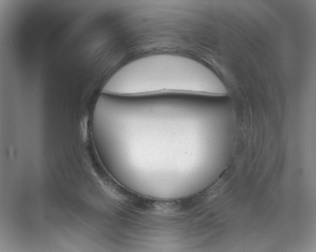 X0000074970070200609011027