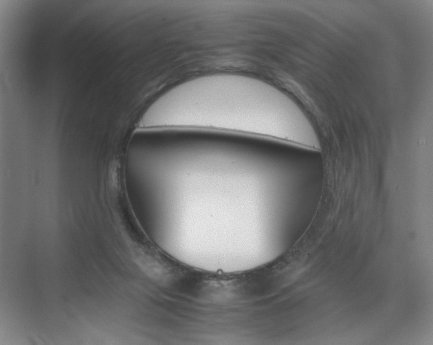 X0000074970071200609011027