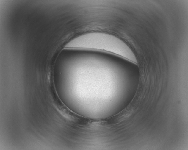 X0000074970072200609011027