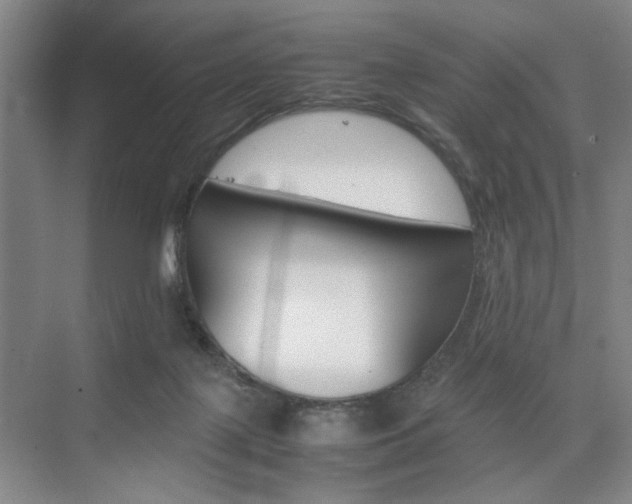 X0000074970075200609011027