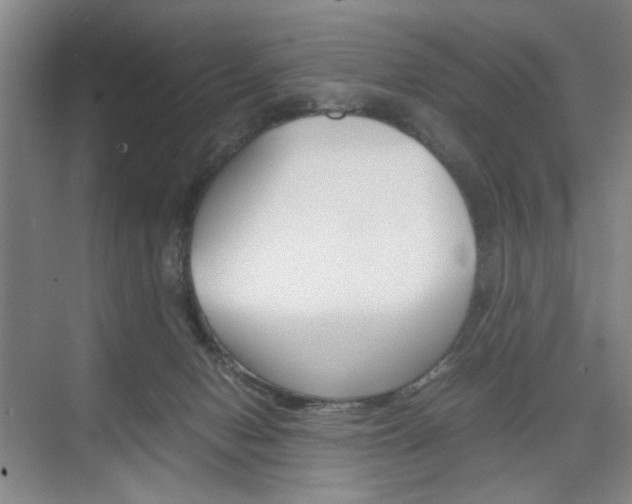 X0000074970078200609011027