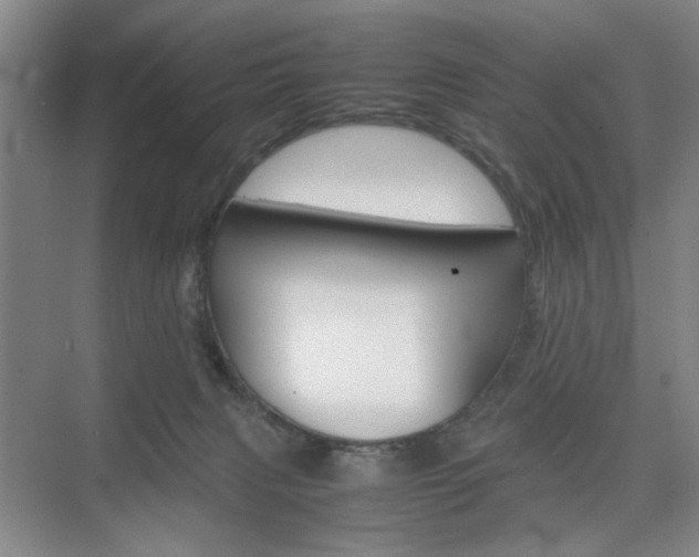 X0000074970079200609011027