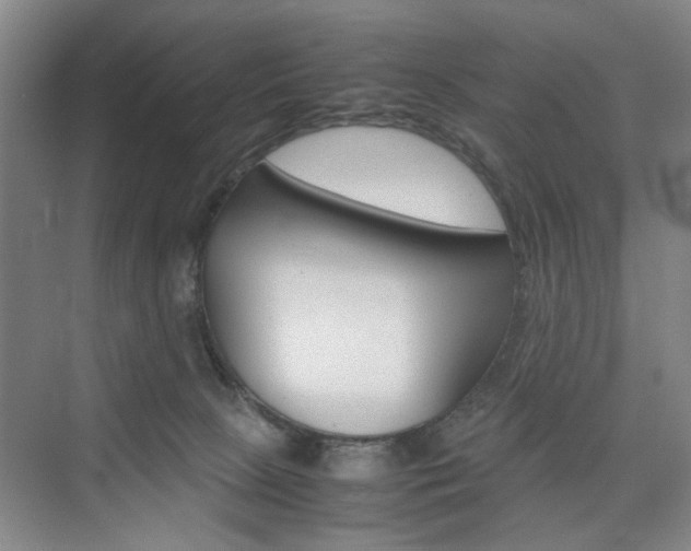 X0000074970081200609011027