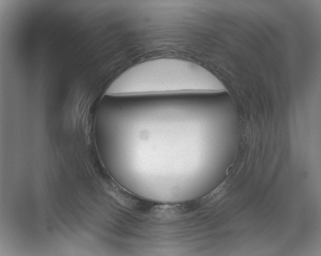 X0000074970082200609011027