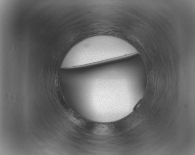 X0000074970083200609011027