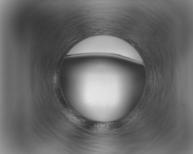 X0000074970084200609011027