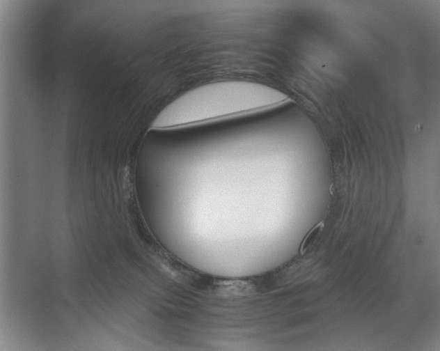 X0000074970087200609011027