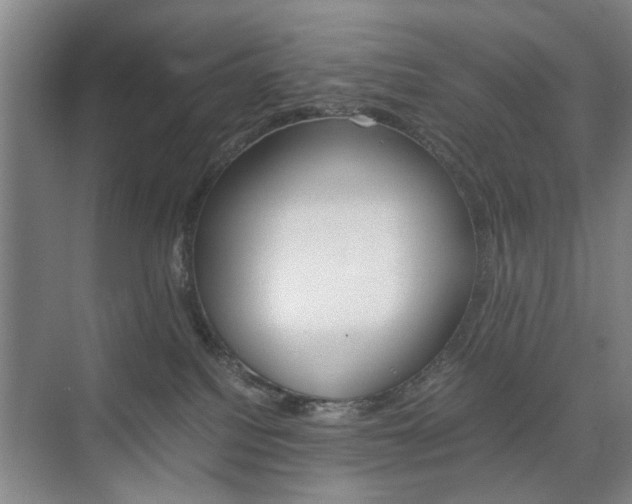 X0000074970088200609011027