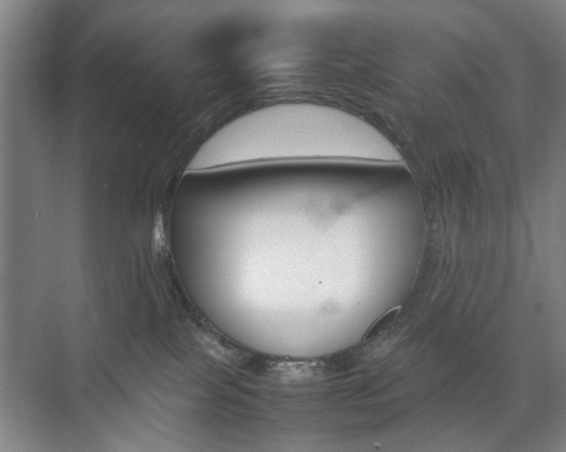 X0000074970089200609011027