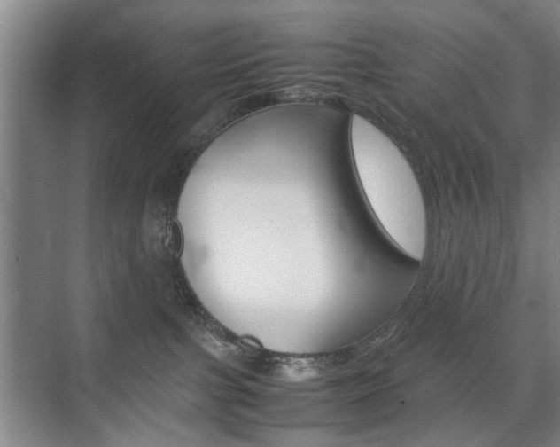 X0000074970091200609011027