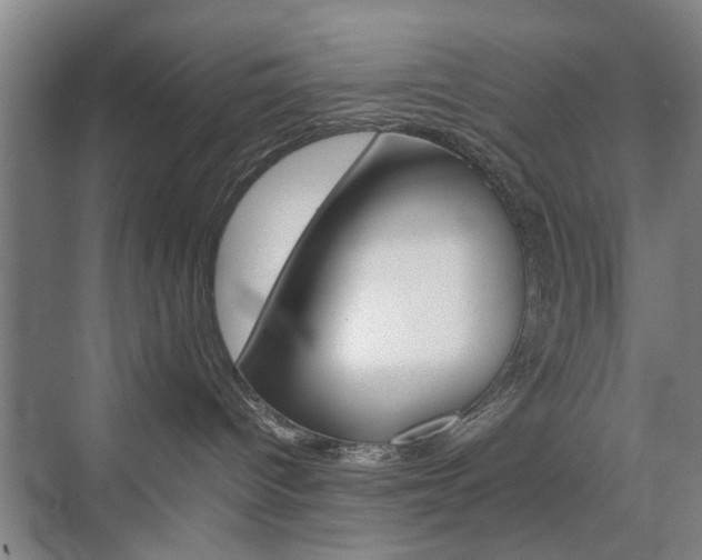 X0000074970096200609011027