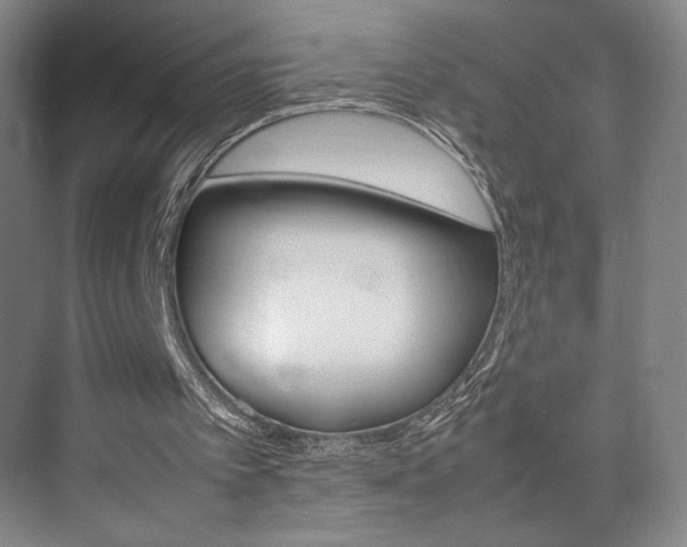 X0000074970097200609011027