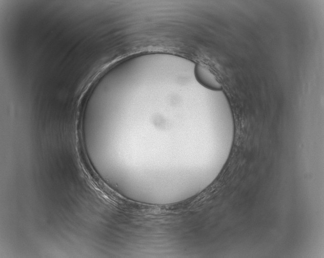 X0000074970098200609011027