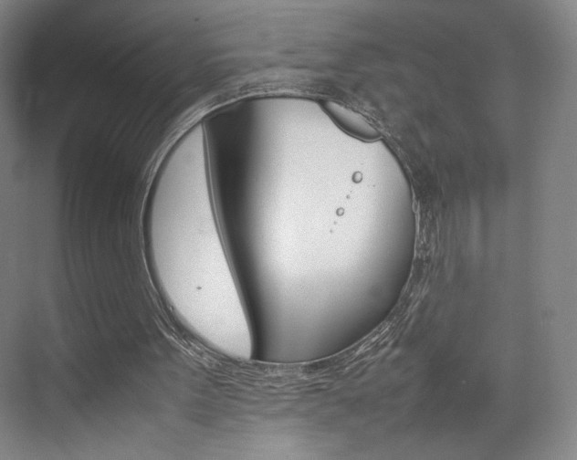 X0000074970099200609011027