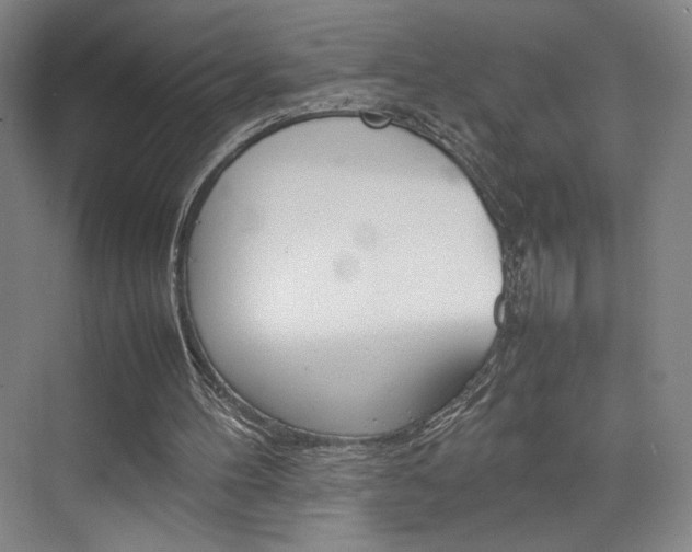 X0000074970100200609011027