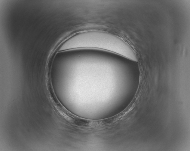 X0000074970101200609011027