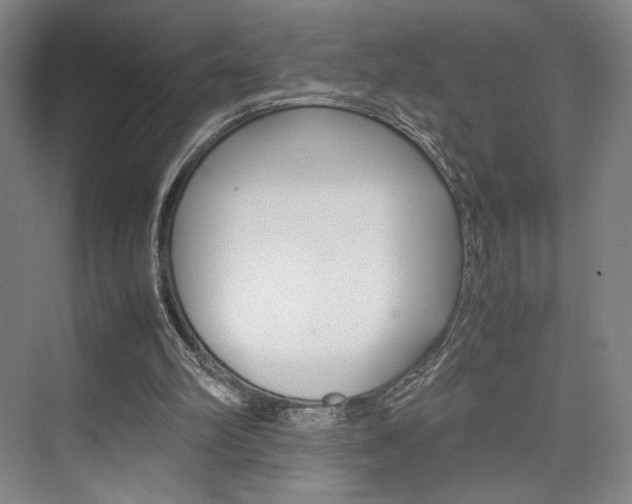 X0000074970102200609011027