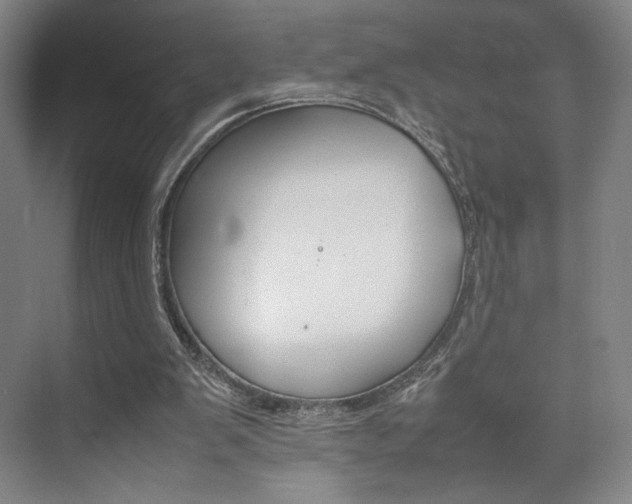 X0000074970103200609011027